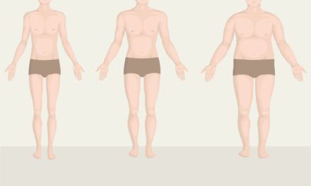 Testalkattípusok – kiértékelő lap információi