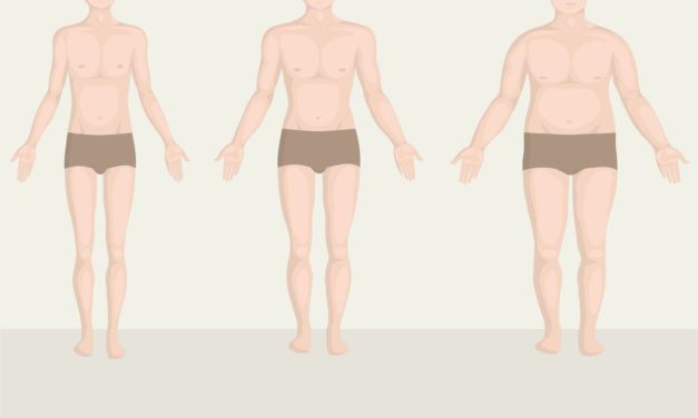Testalkattípusok – kiértékelő lap információi